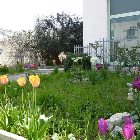 Appartement Lo Scrigno *